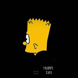 Meet your Posher, Katelynn